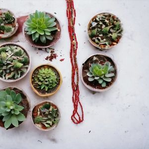 Waist Beads African Elastic Belly Chain Colorful Festival Rave Body Jewe…